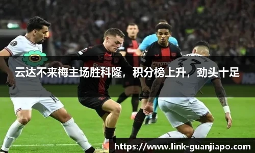 管家婆官网资料